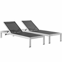 Ergode Shore Chaise Outdoor Patio Aluminum Set of 2 - Silver Black