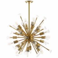 Ergode Burst Ceiling Light Pendant Chandelier -