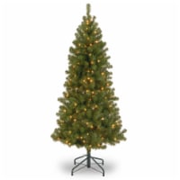 Ergode 6 ft. Canadian Grande Fir Tree with Clear Lights