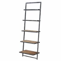 Ergode Laredo Ladder Bookshelf
