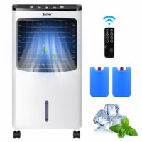 Costway Portable Cooler Fan Filter Humidify Anion W/ Remote Control