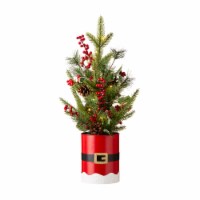 Glitzhome 22 Inch Tall Lighted Santa Belt Potted Table Tree