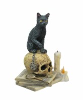 Lisa Parker Spirits of Salem Black Cat on Human Skull Statue 6.5 Inches High Gothic Décor