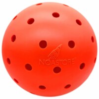 Noa Store 10  Unbreakable Dog Ball Toy - Durable & Lightweight