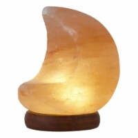 Adria Moon Salt Lamp 8 Color Modes