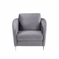 Velvet Modern Chic Accent Armchair in Gray