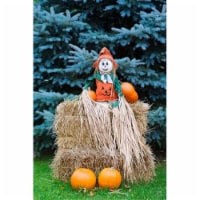 Posterazzi PDDUS50BJA0009 Wisconsin Autumn Haystack Halloween Decorations Poster Print by Jay