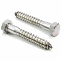 25-Pack 3/8  x 5  Stainless Steel Hex Lag Bolts for Wood, Plain Finish by Bolt Dropper