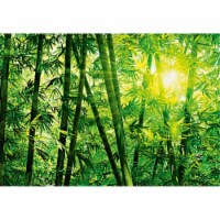 Brewster Home Fashions DM123 Bamboo Forest Wall Mural - 100 in.