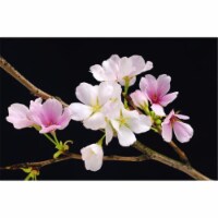 Brewster Home Fashions DM627 Cherry Blossoms Wall Mural - 45 in.