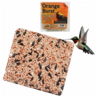 All Season Suet Wild Bird Food Cake Treat 11.25 oz Heath Outdoor Orange Burst