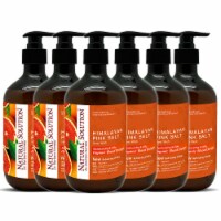 Himalayan Pink Salt Liquid Hand Soap, Moisturizing Blood Orange - 14 oz (6 pack)