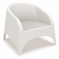 Compamia  Aruba Resin Wickerlook Chair White -  set of 2