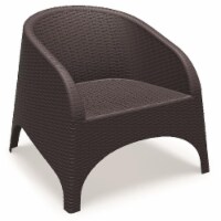 Compamia Aruba Resin Wickerlook Chair Brown - set of 2