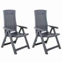 vidaXL Patio Reclining Chairs 2 pcs Plastic Anthracite