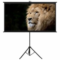 vidaXL Projection Screen with Tripod 100  4:3