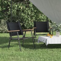 vidaXL Camping Chairs 2 pcs Black 21.3 x21.7 x30.7 Oxford Fabric