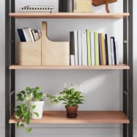 vidaXL Wall Shelf Light Brown 39.4 x23.6 x0.8 Treated Solid vidaXL Wall Shelf Light Brown 39.4 x23.6 x0.8 Treated Solid