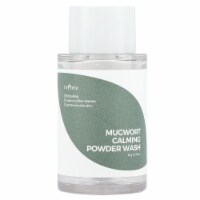 Isntree Mugwort Calming Powder Wash - 0.52 oz (15 g)