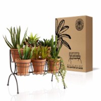 REGAL TRUNK  CO 6 Pot Tiered Plant Stand - Rustic Indoor Outdoor