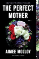 The Perfect Mother by Aimee Molloy Perspective: Main