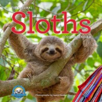 2023 The Original Sloths Wall Calendar by Workman Publishing Perspective: Main
