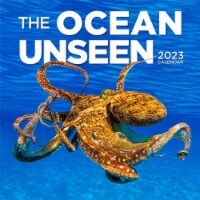 Workman Publishing 2023 Wall Calendar - The Ocean Unseen Perspective: Main