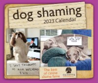 2023 Dog Shaming Day-to-Day Desk Calendar by Andrews McMeel Publishing Perspective: Main