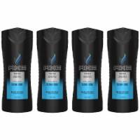 AXE Men Phoenix Crushed Mint & Rosemary Body Wash Perspective: Main