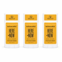 Schmidt's Aluminum-Free 24-Hour Protection Here & Now Sensitive Skin Vegan Natural Deodorant Stick