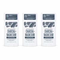 Schmidt's Aluminum-Free 24-Hour Odor Protection Charcoal & Magnesium Vegan Natural Deodorant Stick