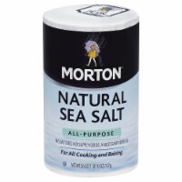 Morton All-Purpose Natural Sea Salt 26 Oz Pour Spout (Pack of 12)