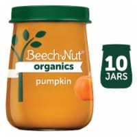 Beech-Nut Organics Pumpkin Stage 1 Baby Food
