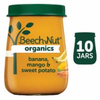 Beech-Nut® Organics Banana Mango & Sweet Potato Stage 2 Baby Food Perspective: Main