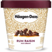 Haagen Dazs® Rum Raisin Ice Cream Pint