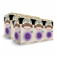 Newman's Own Organic Earl Grey Tea with 20 Individually Wrapped Tea Bags Per Box (6 Pack)