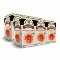 Newman's Own Organic Sweet Cinamon Spice Herbal Tea with 20 Tea Bags Per Box (Pack of 6)