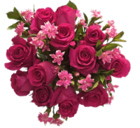 Exquisite Pink Rose Bouquet (Approximate delivery is 1-3 Days)