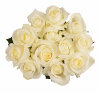 Passion Growers Dozen Fresh Cut White Roses (Approximate Delivery is 1-3 Days)
