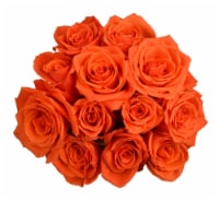 Passion Growers Dozen Fresh Cut Orange Roses (Approximate Delivery is 1-3 Days)