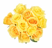 Passion Growers Dozen Fresh Cut Yellow Roses (Approximate Delivery is 1-3 Days)
