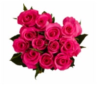 Passion Growers Dozen Fresh Cut Hot Pink Roses (Approximate Delivery is 1-3 Days)