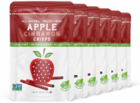 Freeze-Dried Apple Cinnamon Crisps 15g (.53oz)  - 6-PACK