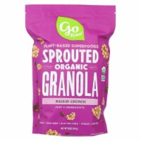 Go Raw Plant-Based Sprouted Organic Granola Raisin Crunch, 16oz (Pack of 6)