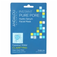andalou Naturals Instant Pure Pore Facial Mask-Coconut Water Clarifying-Case of 6-0.6fl oz