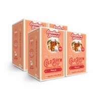 Southern Breeze Cold Brew Sweet Tea Peach Iced Tea with 20 Tea Bags, Pack of 4