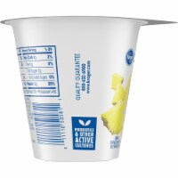 Mariano S Kroger Carbmaster 2 Low Fat Pineapple Cottage