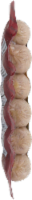 Johnsonville Beer Brats Perspective: left