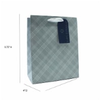 Hannukah Cub Holiday Christmas Christmas Gift Bag - Design #2 Perspective: Main