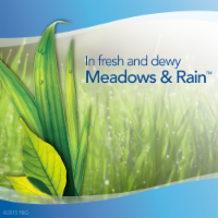 Febreze Air Effects Meadows & Rain Air Refresher Perspective: Main